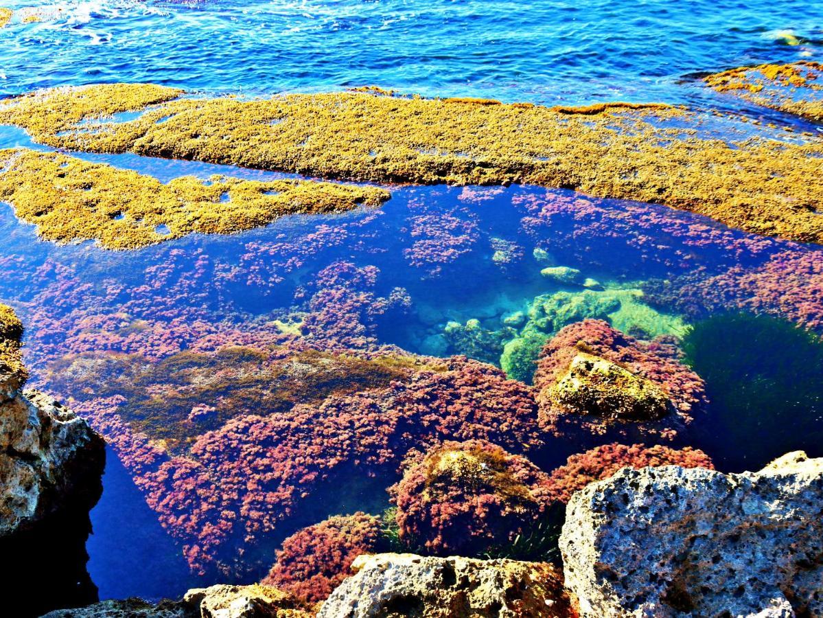 شقة Anemone Della Scala Dei Turchi ريالمونتي المظهر الخارجي الصورة