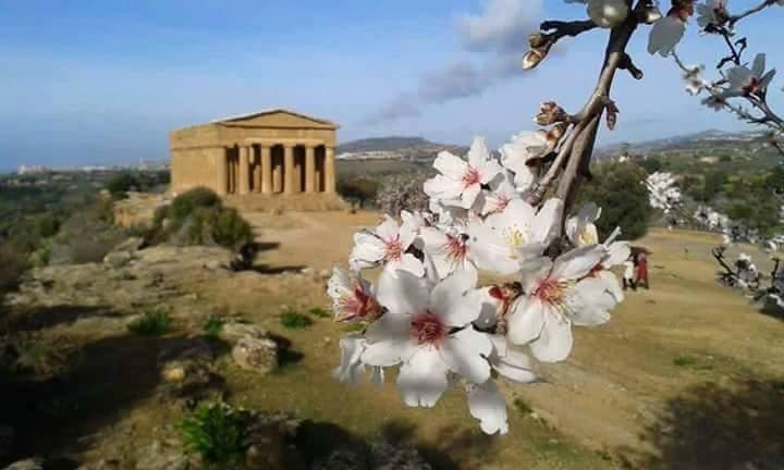 شقة Anemone Della Scala Dei Turchi ريالمونتي المظهر الخارجي الصورة